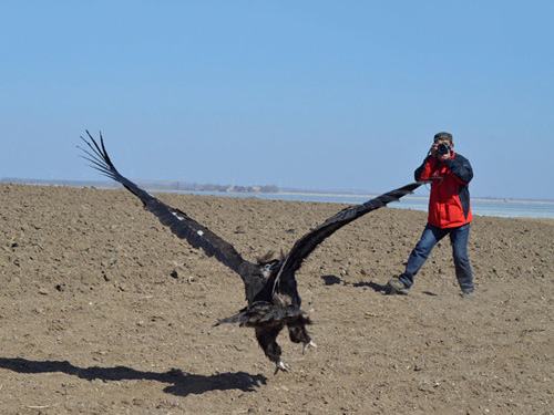 2014��3������ͺ�շ���