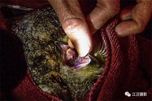 7790�ط����Ź������,����Ұ������׷��,��������׷����,����׷����