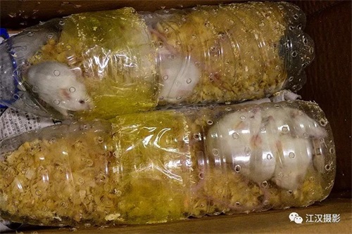 7790�ط����Ź������,����Ұ������׷��,��������׷����,����׷����