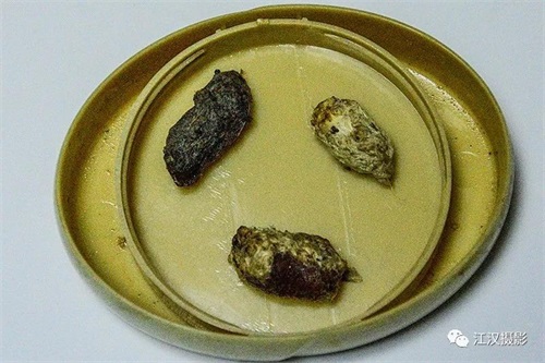 7790�ط����Ź������,����Ұ������׷��,��������׷����,����׷����