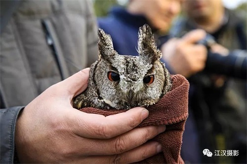 7790�ط����Ź������,����Ұ������׷��,��������׷����,����׷����