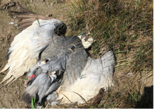 7790�ط����Ź������,����Ұ������׷��,��������׷����,����׷����