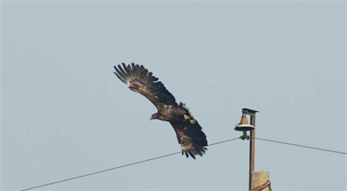 7790�ط����Ź������,����Ұ������׷��,��������׷����,����׷����