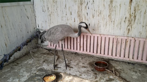 7790�ط����Ź������,����Ұ������׷��,��������׷����,����׷����