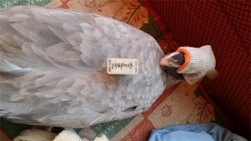 7790�ط����Ź������,����Ұ������׷��,��������׷����,����׷����