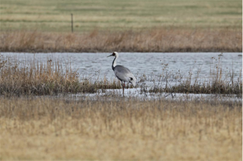 7790�ط����Ź������,����Ұ������׷��,��������׷����,����׷����