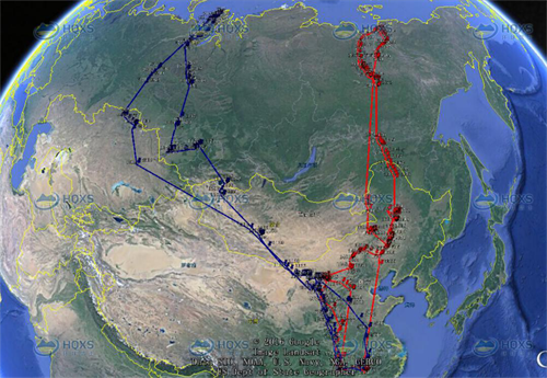 7790±Ø·¢¼¯ÍŹÙÍøÈë¿Ú,ºþÄÏÒ°Éú¶¯Îï×·×Ù,ºþÄÏÎÀÐÇ×·×ÙÆ÷,ºþÄÏ×·×ÙÆ÷ 7790±Ø·¢¼¯ÍŹÙÍøÈë¿Ú,ºþÄÏÒ°Éú¶¯Îï×·×Ù,ºþÄÏÎÀÐÇ×·×ÙÆ÷,ºþÄÏ×·×ÙÆ÷