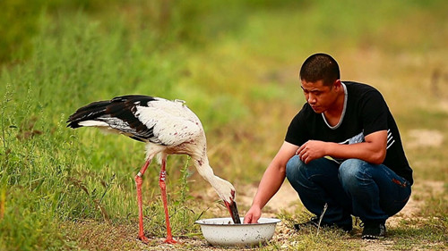 7790�ط����Ź������,����Ұ������׷��,��������׷����,����׷����