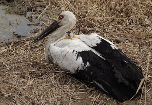 7790�ط����Ź������,����Ұ������׷��,��������׷����,����׷����