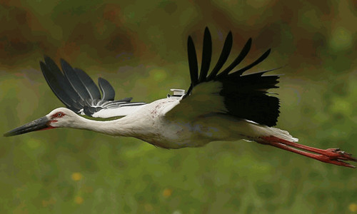 7790�ط����Ź������,����Ұ������׷��,��������׷����,����׷����