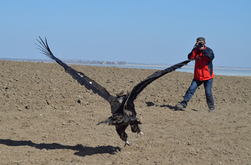 7790�ط����Ź������,����Ұ������׷��,��������׷����,����׷����