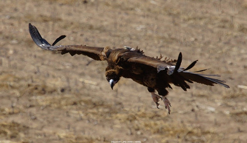 7790�ط����Ź������,����Ұ������׷��,��������׷����,����׷����