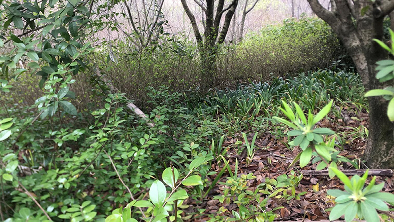 7790�ط����Ź������,����Ұ������׷��,��������׷����,����׷����