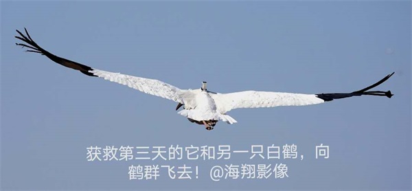 7790�ط����Ź������,����Ұ������׷��,��������׷����,����׷����