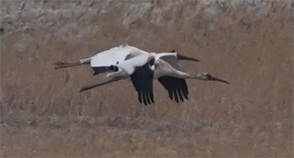 7790�ط����Ź������,����Ұ������׷��,��������׷����,����׷����