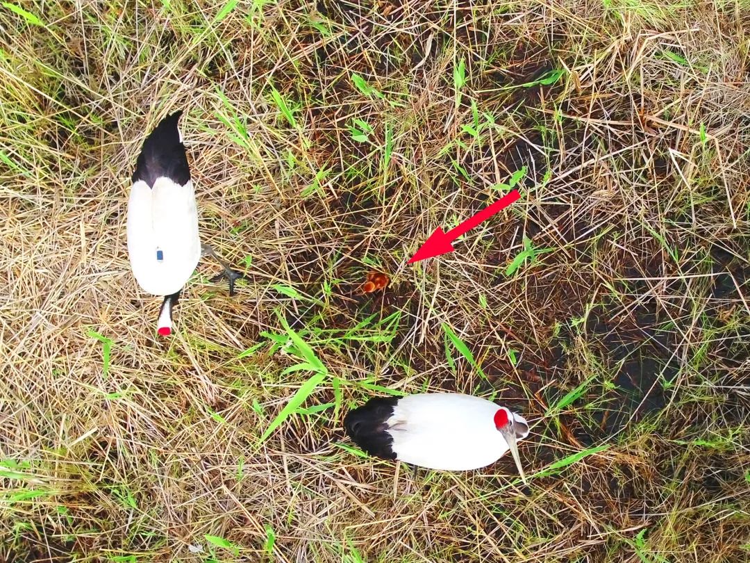 7790�ط����Ź������,����Ұ������׷��,��������׷����,����׷����