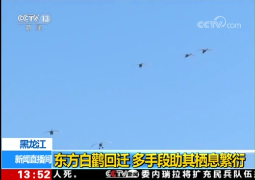 7790�ط����Ź������,����Ұ������׷��,��������׷����,����׷����