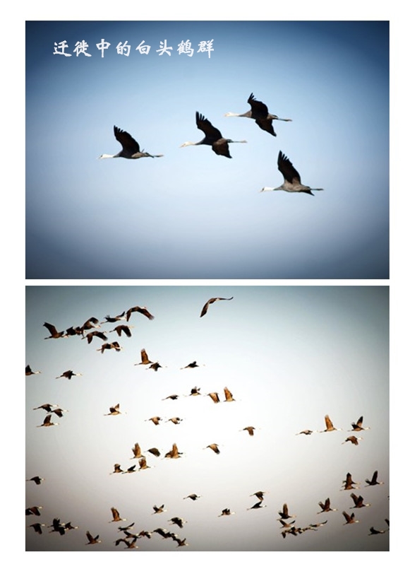 7790�ط����Ź������,����Ұ������׷��,��������׷����,����׷����