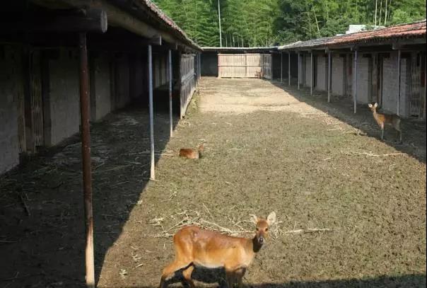 ���������Ͳ�,�Ͳ���,�Ͳ��,����ʱ���,�����,�Ͳ����Ǯ,�Ͳ�������,�Ͳ������