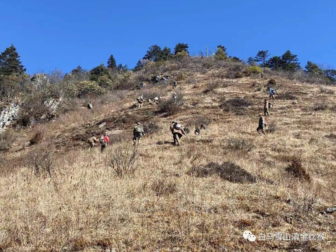 ���������Ͳ�,�Ͳ���,�Ͳ��,����ʱ���,�����,�Ͳ����Ǯ,�Ͳ�������,�Ͳ������