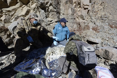 7790�ط����Ź������,����Ұ������׷��,��������׷����,����׷����