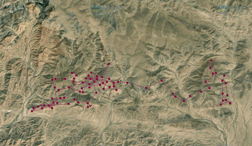 7790�ط����Ź������,����Ұ������׷��,��������׷����,����׷����