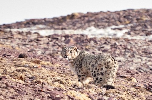 7790�ط����Ź������,����Ұ������׷��,��������׷����,����׷����