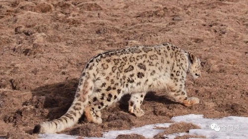 7790�ط����Ź������,����Ұ������׷��,��������׷����,����׷����