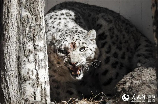 7790�ط����Ź������,����Ұ������׷��,��������׷����,����׷����