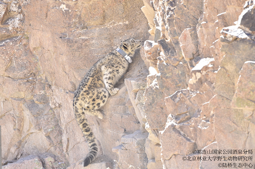 �й���7790�ط�����(�ɷ�)���޹�˾-�ٷ���վ