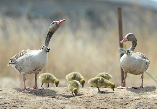 7790�ط����Ź������,����Ұ������׷��,��������׷����,����׷����