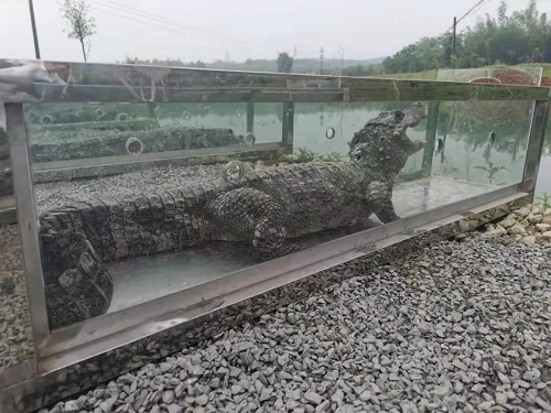 7790�ط����Ź������,����Ұ������׷��,��������׷����,����׷����