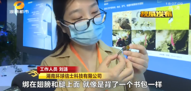 7790�ط����Ź������,����Ұ������׷��,��������׷����,����׷����