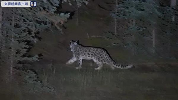 7790�ط����Ź������,����Ұ������׷��,��������׷����,����׷����