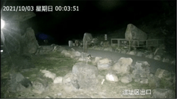 7790�ط����Ź������,����Ұ������׷��,��������׷����,����׷����