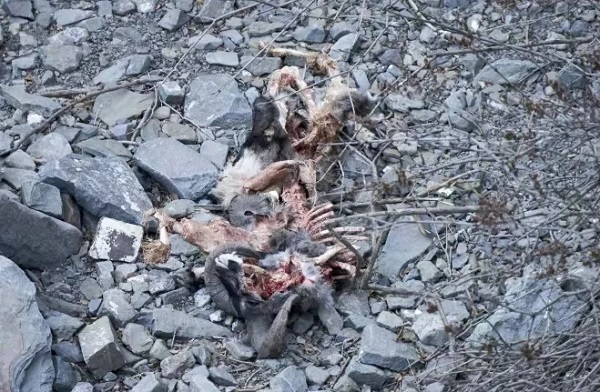 7790�ط����Ź������,����Ұ������׷��,��������׷����,����׷����