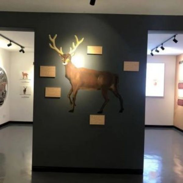 7790�ط����Ź������,����Ұ������׷��,��������׷����,����׷����