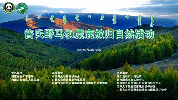 7790�ط����Ź������,����Ұ������׷��,��������׷����,����׷����