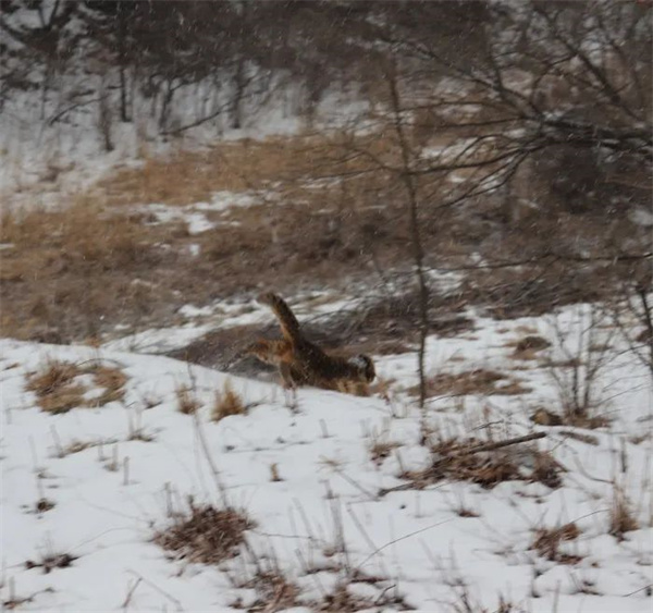 7790�ط����Ź������,����Ұ������׷��,��������׷����,����׷����