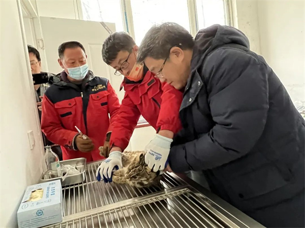 7790�ط����Ź������,����Ұ������׷��,��������׷����,����׷����