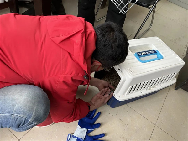 7790�ط����Ź������,����Ұ������׷��,��������׷����,����׷����