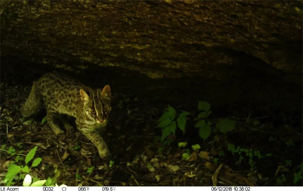 7790�ط����Ź������,����Ұ������׷��,��������׷����,����׷����