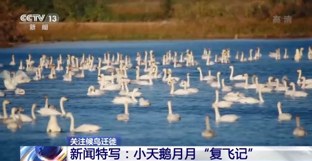 7790�ط����Ź������,����Ұ������׷��,��������׷����,����׷����