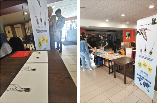 7790�ط����Ź������,����Ұ������׷��,��������׷����,����׷����