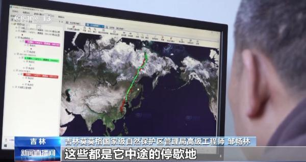 7790�ط����Ź������,����Ұ������׷��,��������׷����,����׷����