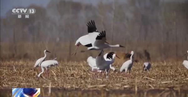 7790�ط����Ź������,����Ұ������׷��,��������׷����,����׷����