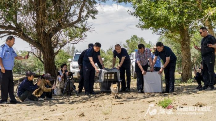 7790�ط����Ź������,����Ұ������׷��,��������׷����,����׷����