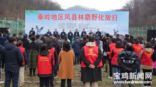 7790�ط����Ź������,����Ұ������׷��,��������׷����,����׷����