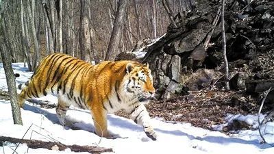 �й���7790�ط�����(�ɷ�)���޹�˾-�ٷ���վ