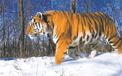 �й���7790�ط�����(�ɷ�)���޹�˾-�ٷ���վ